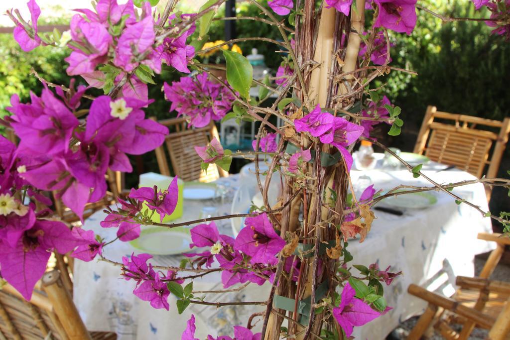La Porta Sulla Costa Bed and Breakfast San Pantaleo Buitenkant foto